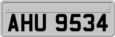 AHU9534