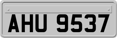 AHU9537