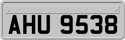 AHU9538