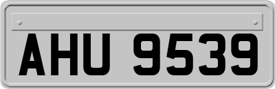 AHU9539