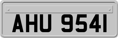 AHU9541