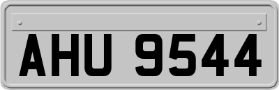 AHU9544