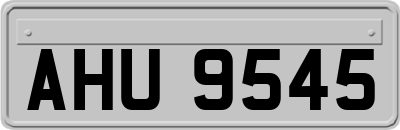 AHU9545