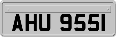 AHU9551