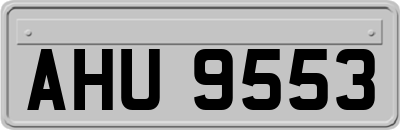 AHU9553