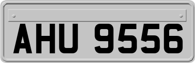AHU9556
