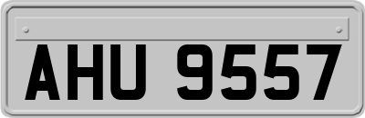 AHU9557