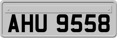 AHU9558