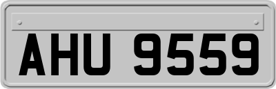 AHU9559