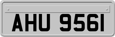 AHU9561