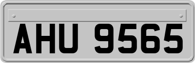 AHU9565