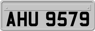 AHU9579