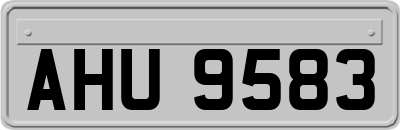 AHU9583