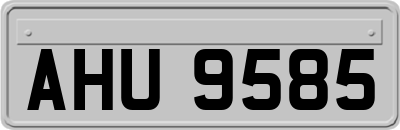 AHU9585
