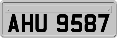 AHU9587