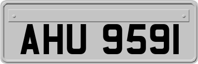 AHU9591