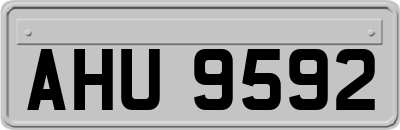 AHU9592