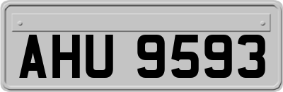 AHU9593