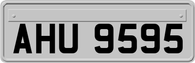 AHU9595