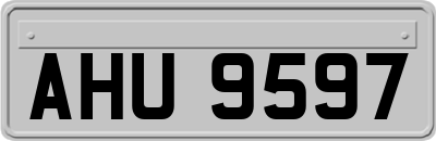 AHU9597