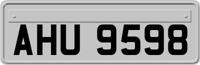 AHU9598