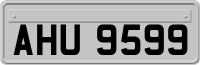 AHU9599