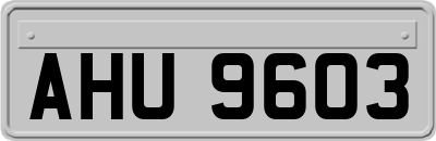 AHU9603