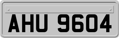 AHU9604