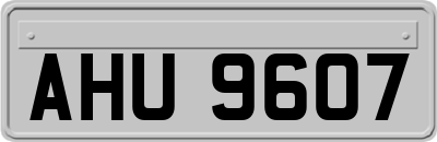 AHU9607