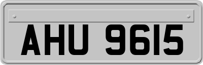 AHU9615