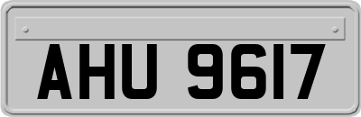 AHU9617
