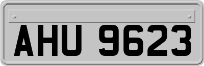 AHU9623