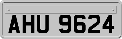 AHU9624