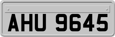 AHU9645