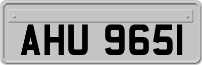 AHU9651
