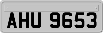 AHU9653
