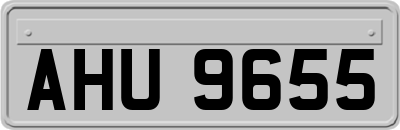 AHU9655