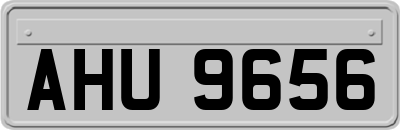 AHU9656