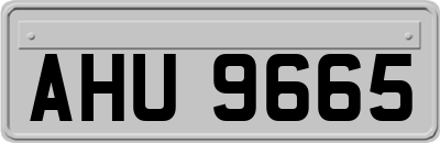 AHU9665