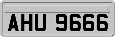 AHU9666
