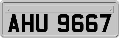 AHU9667