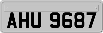 AHU9687