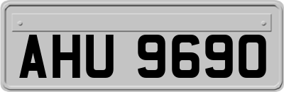 AHU9690
