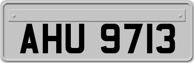 AHU9713