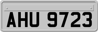 AHU9723