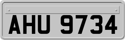 AHU9734
