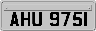 AHU9751