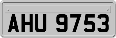 AHU9753