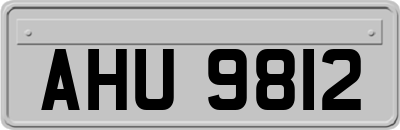 AHU9812