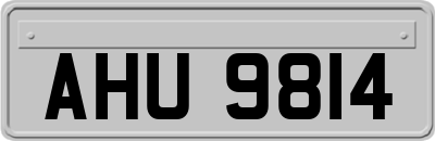 AHU9814